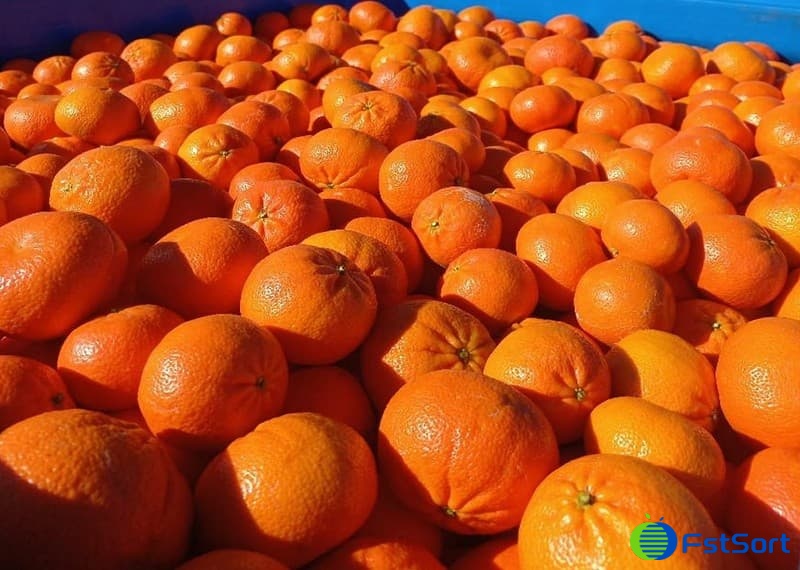 images/1661153606879citrus sorter.jpg